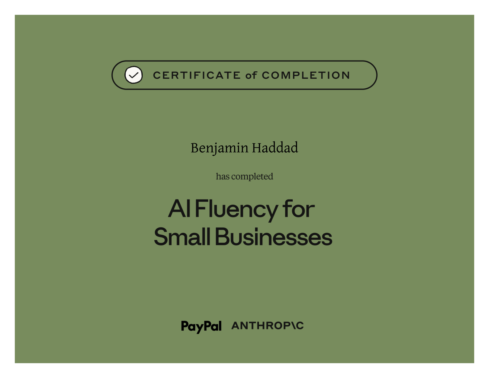 AI Fluency For Small Businesses — Anthropic