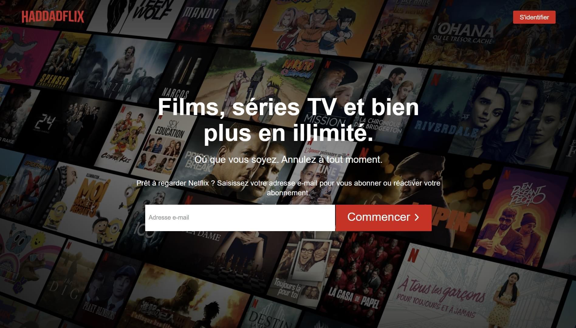Intégration HTML & CSS de Netflix
