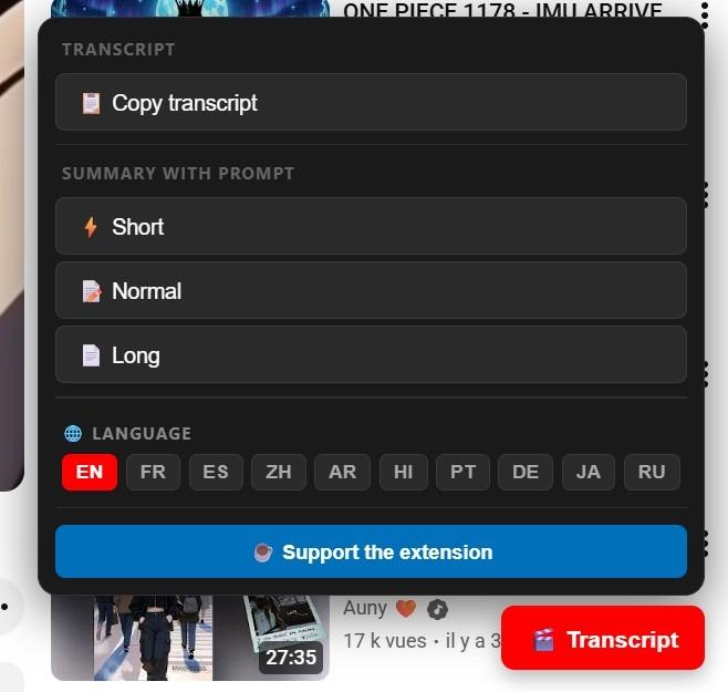 YouTube Transcript & Summary Prompt